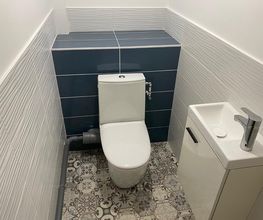 S2P image 1