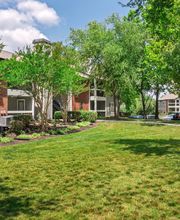 The Magnolia Apartments image 10