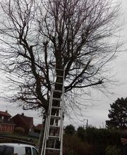 Artisan José image 2