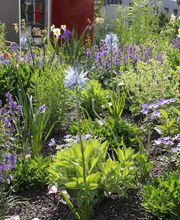 Artho Gärten AG Bild 1