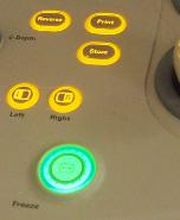 Centro Médico Veterinario Los Álamos imagen 9