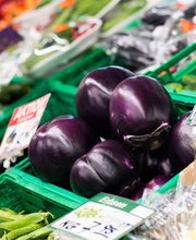 Volki Markt GmbH Bild 6