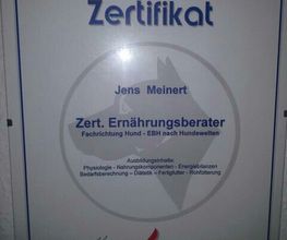 Ernaehrung wird bei der Hundeerziehung oft noch unterschaetzt.