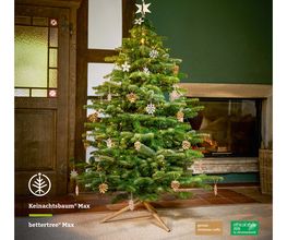 bettertree | Your alternative Christmas tree Bild 3