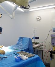 Kleintier-Spezialisten Klinik ARC Bild 4