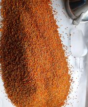 Secrets d'Abeilles image 15