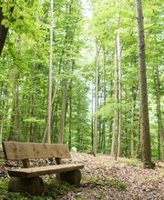FriedWald Ohetal Bild 5