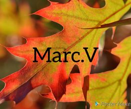 Vial Marc image 12