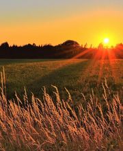 Pompes Funèbres Bougaud image 1