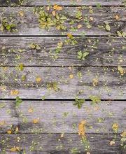 Restaurante Zenubia imagen 9