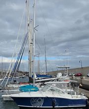 Boat 360 - Pesca Deportiva & Chárter Privado Tenerife imagen 10