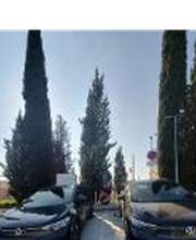 Wenea imagen 3