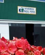 vivieroshnospeña3.jpg