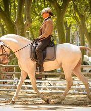 Le Haras de Castries image 1