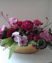 Flora et labora Assia Frankl Bild 9