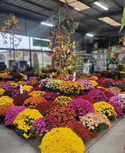 Bricomarché Orval image 2