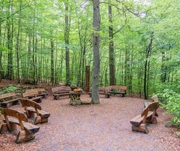 FriedWald Bad Laasphe Bild 6