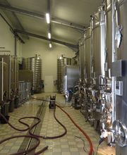 Champagne Treuffet Père Et Fils image 5