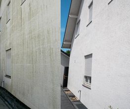 Der-Proficleaner Steinreinigung Bild 4