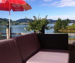 Grüene Aff Bild 2