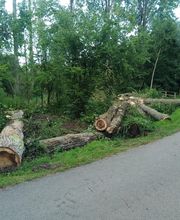 Nature Domestiquee image 6