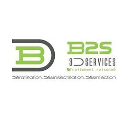 B2S-3D