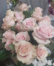 Fleurs Village image 12