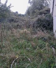 Chebance Bertrand image 2