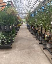 Tractor Supply Co. image 4