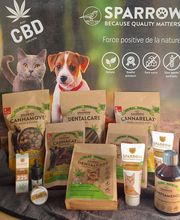 Animotopia Puppy Saint Pol de Leon image 4