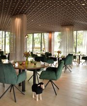 Château de Vault de Lugny image 10