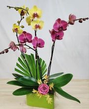 A Goode Florist image 4