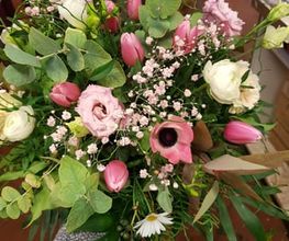 Wiedmer-Blumen AG Bild 6