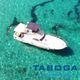 tabogav_barco.jpg