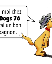 Amis Dogs 76 image 8
