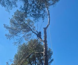 Sannier David Espaces Verts image 19