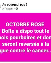 AU POURQUOI PAS image 4