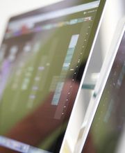 Schwan Roland Bild 6