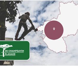 DE CHAMPSAVIN ELAGAGE image 6