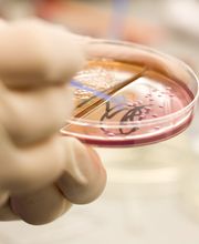 Urologische Gemeinschaftspraxis Dr. Momeni , Dr. Jaeger, Dr. Strasser Urologie, Andrologie und Medikamentöse Tumortherapie Bild 9