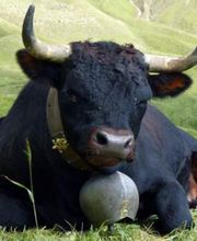 Service administratif Bild 4