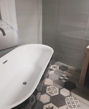 CARL'PLUS TERRIER Eric image 5