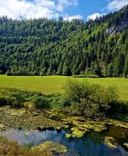 ORIENTACTION Voujeaucourt - Bilan de compétences image 1