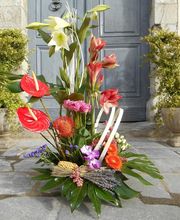 Maguyflor image 12