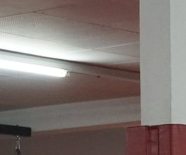 Kampfsportzentrum Wernau Bild 7