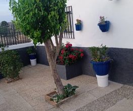 ARBOL-768x1024.jpg
