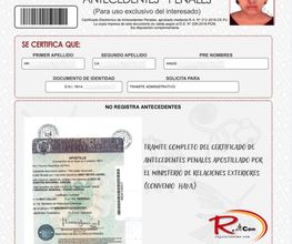 232778266-1-cIkp4f9FgG1690013229260.png