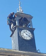 NGAN Marne - Entreprise Anti-Nuisibles image 6