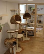 Hotel Stubentiger Bild 2