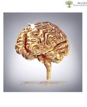Goldenes Gehirn